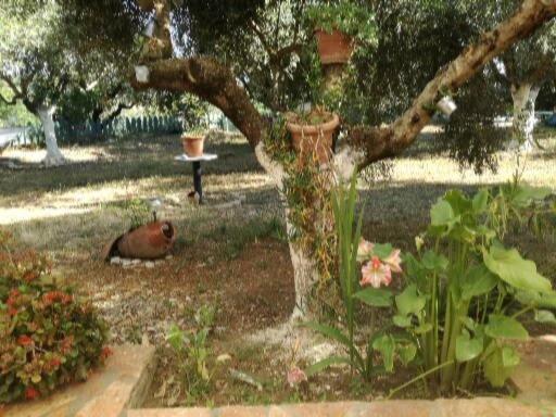 Sunny Holiday Home Kalamata Exterior photo