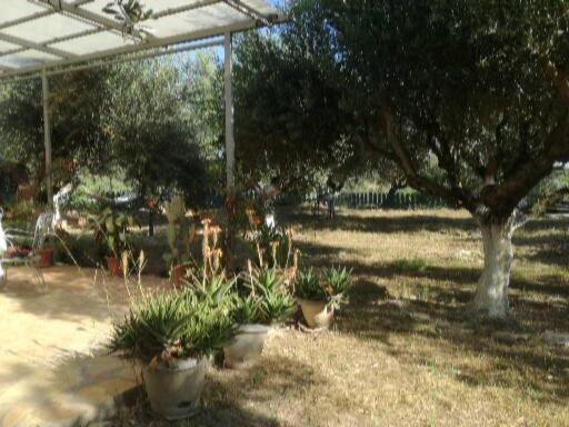 Sunny Holiday Home Kalamata Exterior photo